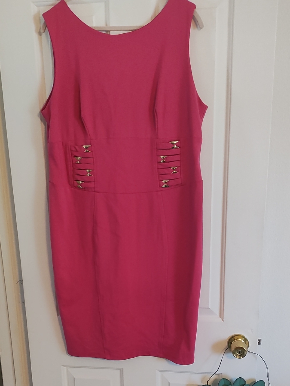 Fashionista fuchsia sleeveless dress